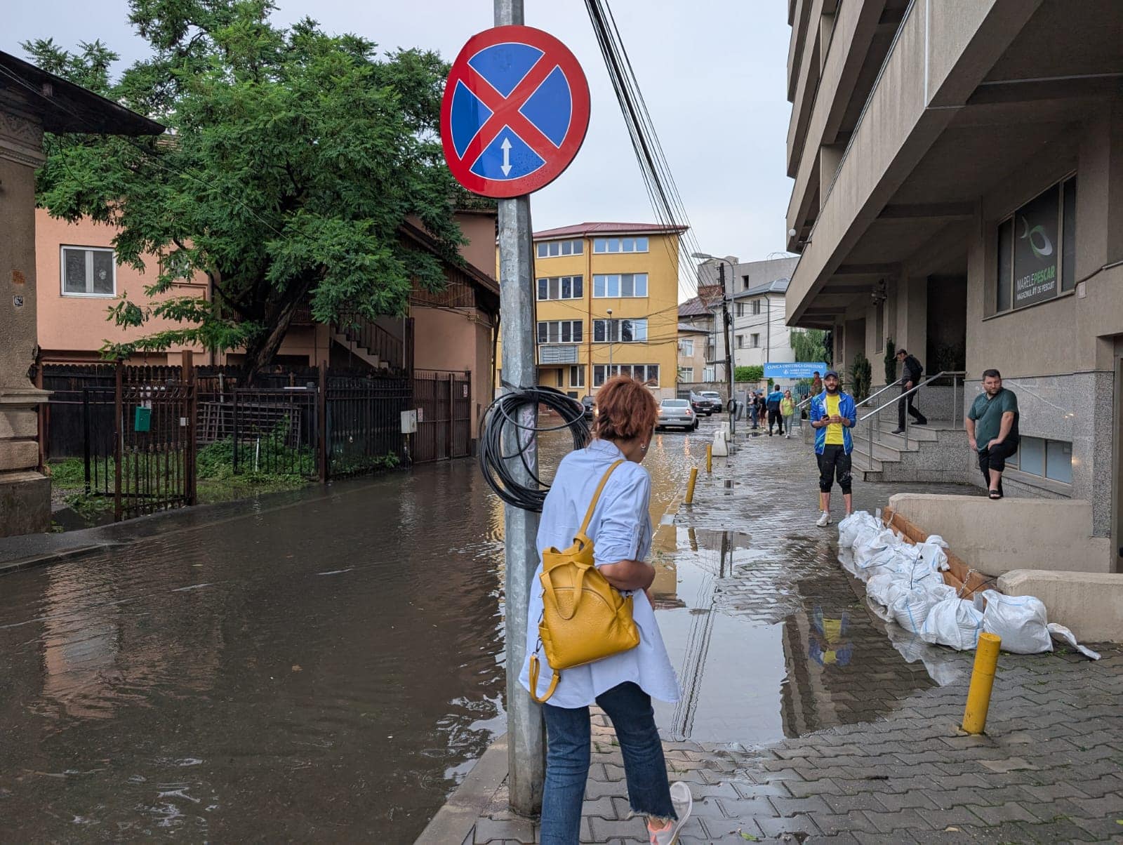 Ploaia torențială