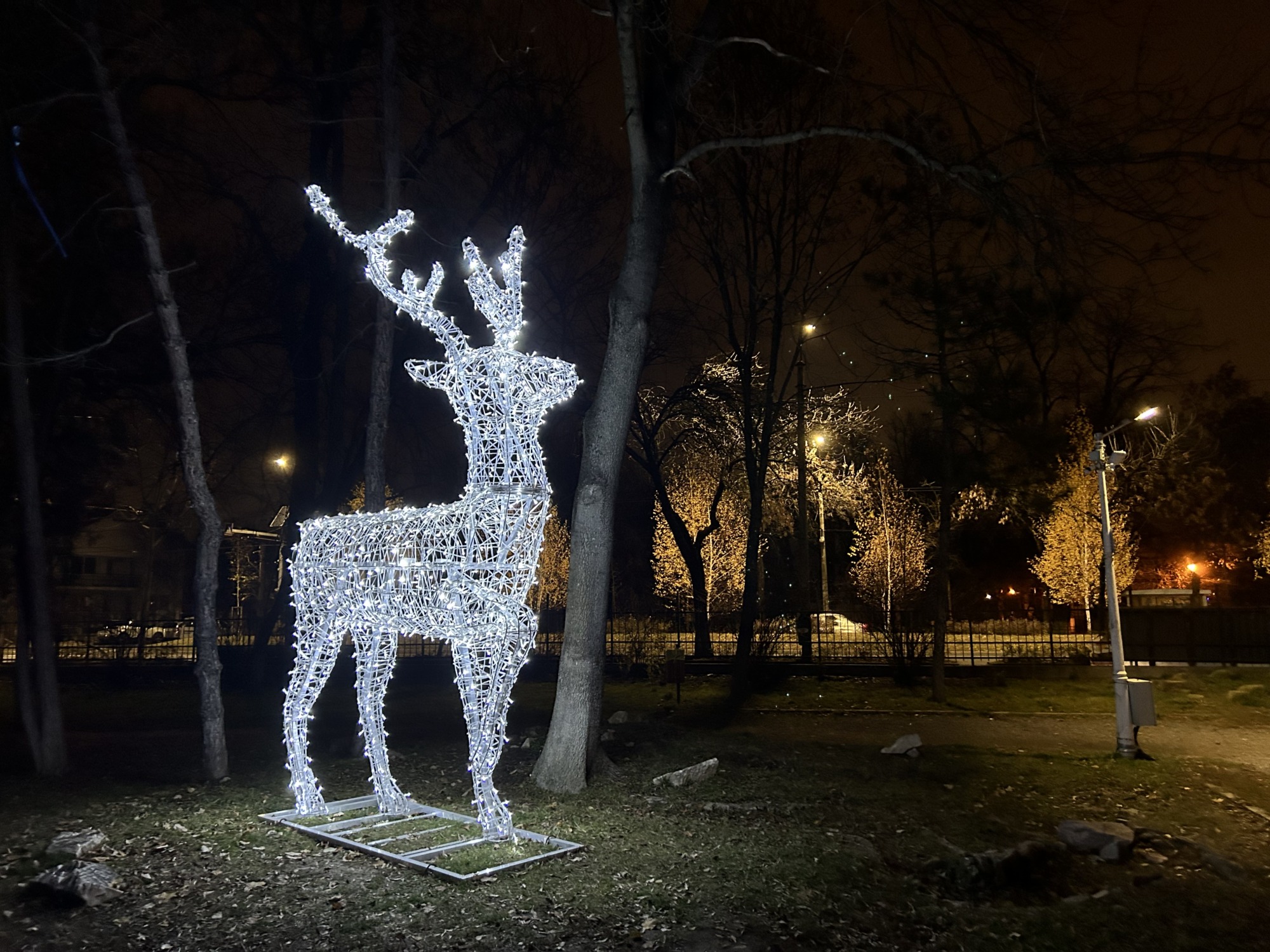 Cum arată unul dintre renii montați în Parcul Bazilescu, a cărui închieriere a costat peste 4.000 de euro. Foto: Cătălin Anghel-Dimache.